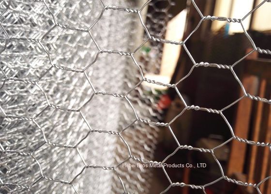 China El electro durable galvanizó la tela metálica de la cerca/del conejo de la malla de alambre de Gabion proveedor