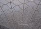 Tela metálica tejida hexagonal galvanizada sumergida caliente para la jaula de las aves de corral proveedor