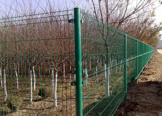 China Malla galvanizada multicolora de la granja que cerca para el establecimiento de los árboles frutales proveedor