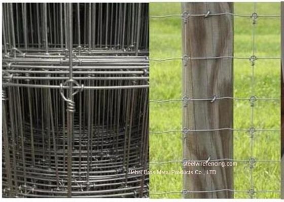 China La cerca de alambre galvanizada del ganado del prado/fijó la cerca tejida nudo de los ciervos para el pasto proveedor