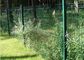 Malla curvada del jardín del metal que cerca la cerca de alambre verde oscuro de doblez rociada polvo proveedor