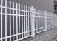 La cerca ornamental de la aislamiento del balcón artesona la corrosión anti para la casa del diseño proveedor