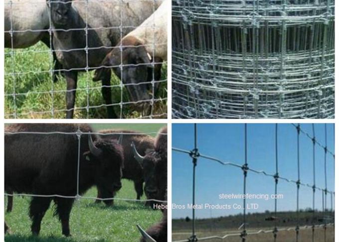 La cerca de alambre galvanizada del ganado del prado/fijó la cerca tejida nudo de los ciervos para el pasto